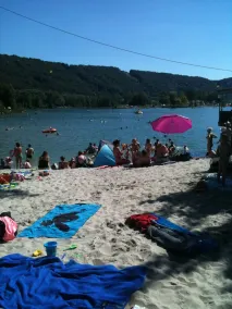 Enjoyment of nature: Holiday house Kratzmühlsee am Wald, sunny, with panoramic view, swimming lake - Image 3