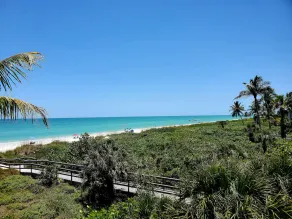 Palm Trees and 80 Degrees - Image 5