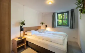 Sprielderbosch 5 Holiday park Veluwe with luxury holiday home - Image 5
