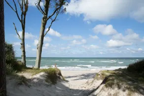 Ferienhaus Seeadler 34 - Image 5