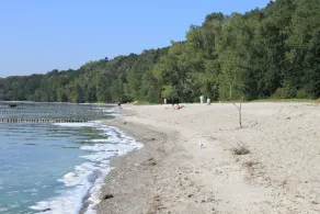 Sommerhus på Szczecin-lagunen på den solrige ø Usedom i Kamminke - Image 4