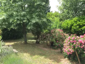 Ferienhaus mit Pool - Image 4