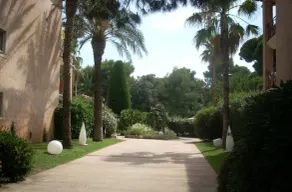 T2 im bewaldeten Park - Image 4