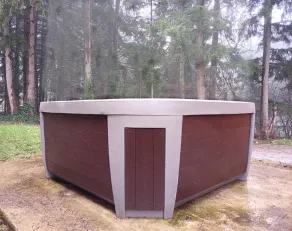 Mid-Century Modern House w/Tiki Room & Hot Tub - Image 2