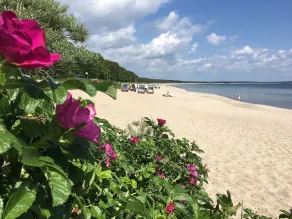 Urlaub auf Rügen im Appartement Sonnenstern in Thiessow - Image 4