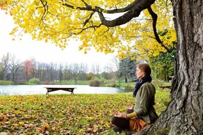 Nature-Retreat with Glamping Cabins & Swimming Pond - Image 3