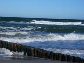 Apartamento / 22 m² - pequeno apartamento em um pescador Hiddensee - Image 4