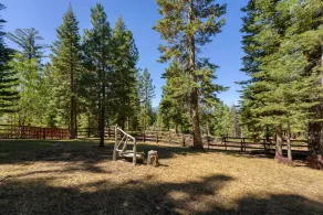 Hch1239 - Heavenly Tree House 4 Bedroom Home - Image 3