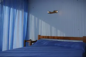 Genets - Image 4