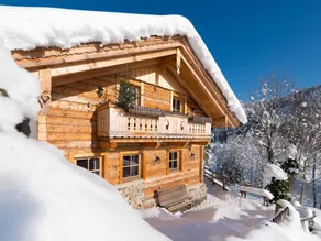 Chalet Steinbock, St Martin am Tennengebirge - Image 1