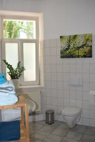 Apartment, close to the center and in a quiet location on the floodplain forest - Image 3