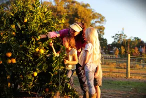 GUMLEAF COTTAGE FARMSTAY - Gratis daglig fodring - tæt på Perth! - Image 3