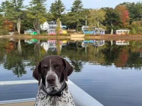 Lakefront Orange Cottage - Image 2