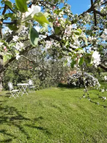 A place of rest and retreat in the natural garden - Image 5