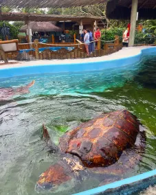Pousada Margerie Ubatuba - Itagua  - Image 2