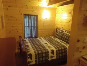 Located in the Finger Lakes a cabin in the country w/ trails & fishing   - Image 4