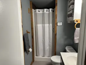 Cabina di montagna Ozark sul bellissimo Lago Norfork - adatto ai bambini, amichevole per gli animali - Image 3