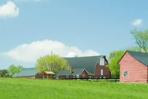 Servants' Cottage on 600 Acre Working Horse/Cattle Estate - Image 5