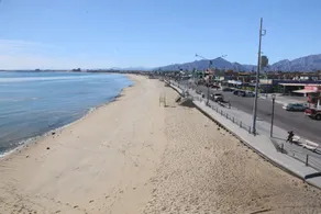 NEAR MARINA, BEACH & DOWNTOWN, SPACIOUS & BEAUTIFUL VIEWS 2 BR  CONDO 301 - Image 4