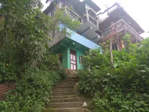 Maison avec chambre chez l'habitant. pépinière de fleurs de renommée mondiale et jungle de pins - Image 5
