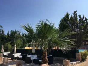 Almyra Holiday Village - Image 4