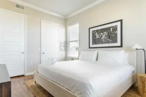 Bright and Spacious Apartments with Gym and Pool Access at Century Stone Hill North in Pflugerville, Austin - Image 5