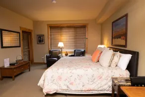 Ski-In/Ski-Out Studio Room - Image 5