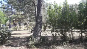 Chalet immerso nella natura a 2,5 km da BEDOIN - Image 2