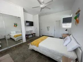 Boho chic & cozy apartment near Hato Rey Banking area with solar panels. - Image 4