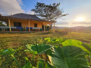 Casa La Ruta del Cafe - Image 5