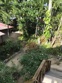 Whistling Bird Resort Negril - Image 5