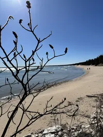Cozy cottage tucked in the woods. 5 minutes from Cave Point and Whitefish Dunes. - Image 5