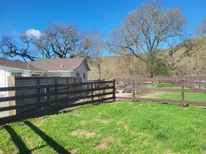 Cozy Cottage on Beautiful U-Pick Berry Farm- 2 Queens, 4 twin/bunks - Image 4