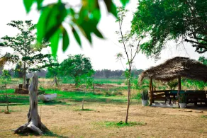 Lotus Chalets Eco Hotel - Image 4