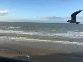 Entre dunes et mer - Image 3