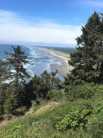 Wunderschön eingerichtetes, voll ausgestattetes Haus, WLAN und nur einen kurzen Spaziergang vom Strand entfernt! - Image 5