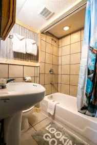 2 Dog Friendly Private Cozy Room in Leadville - Image 4