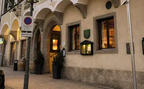 DORMERO MaHo Steyr - Image 4
