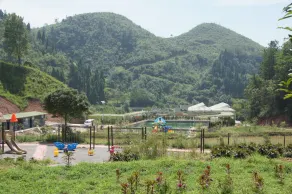 Southeastern Flying Tiger Manor - Image 4