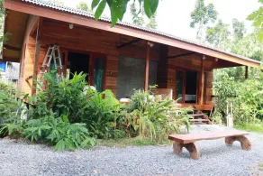 Cocoa Home - Image 5