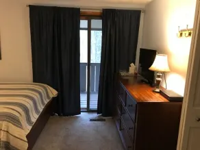 NY!! BOYNE CONDO 3 bd 1 loft 2br - Image 5