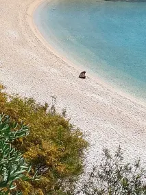 Calagonone: Appartamento a 70 mt dalle spiagge con VISTA MARE in super offerta - Image 5