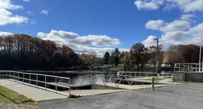 On the Black River - close to awesome fishing! - Image 2