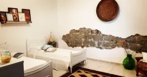 The Tortoliesa - Image 3