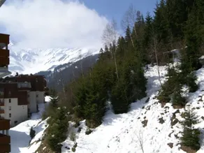 Appartement 2 pièces cabine, proche des pistes, Le Pleynet - Image 5