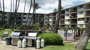 Schöne voll AC 2 BR / 2BA Wohnung 20 Meter von den Wellen auf Maui längsten Strand - Image 5