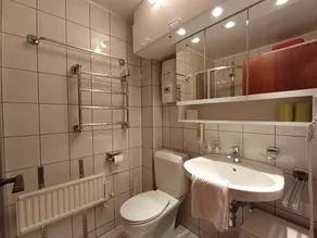 Apartment Barbara in Maishofen - Image 2