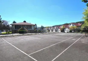 Ski Harbor 16 - Image 3