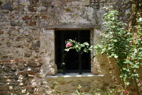 OVERHANGING A RIVER, SHEPHERD'S HOUSE, AUTHENTIC, FAMILY-FRIENDLY, WIFI - Image 3
