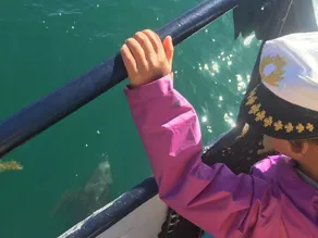 El Duque Adventures In The Sea Of Cortez And Beyond - Image 2
